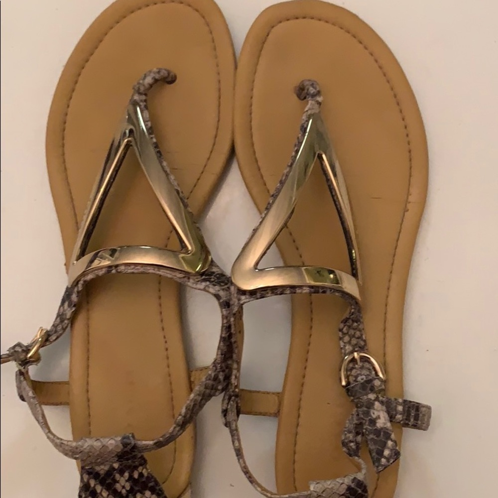 Coach sandals